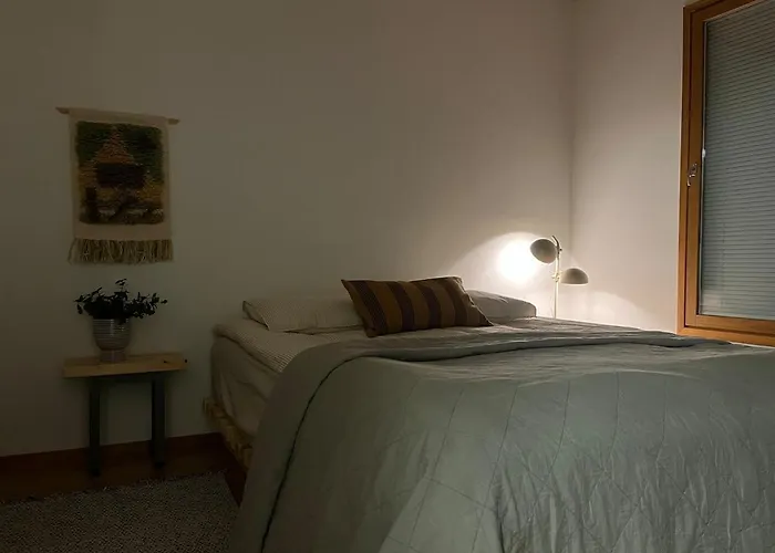 Tunnelmallinen Vuokatissa * 부오카티